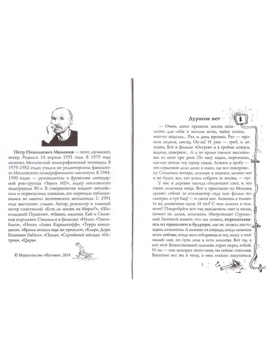 Дураков нет. Петр Мамонов + приложение Благозвонница 117189562 купить за  439 ₽ в интернет-магазине Wildberries