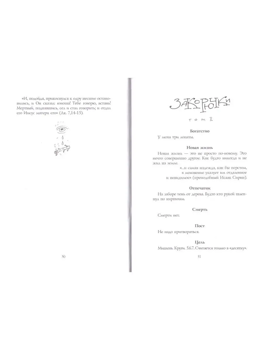 Дураков нет. Петр Мамонов + приложение Благозвонница 117189562 купить за  492 ₽ в интернет-магазине Wildberries