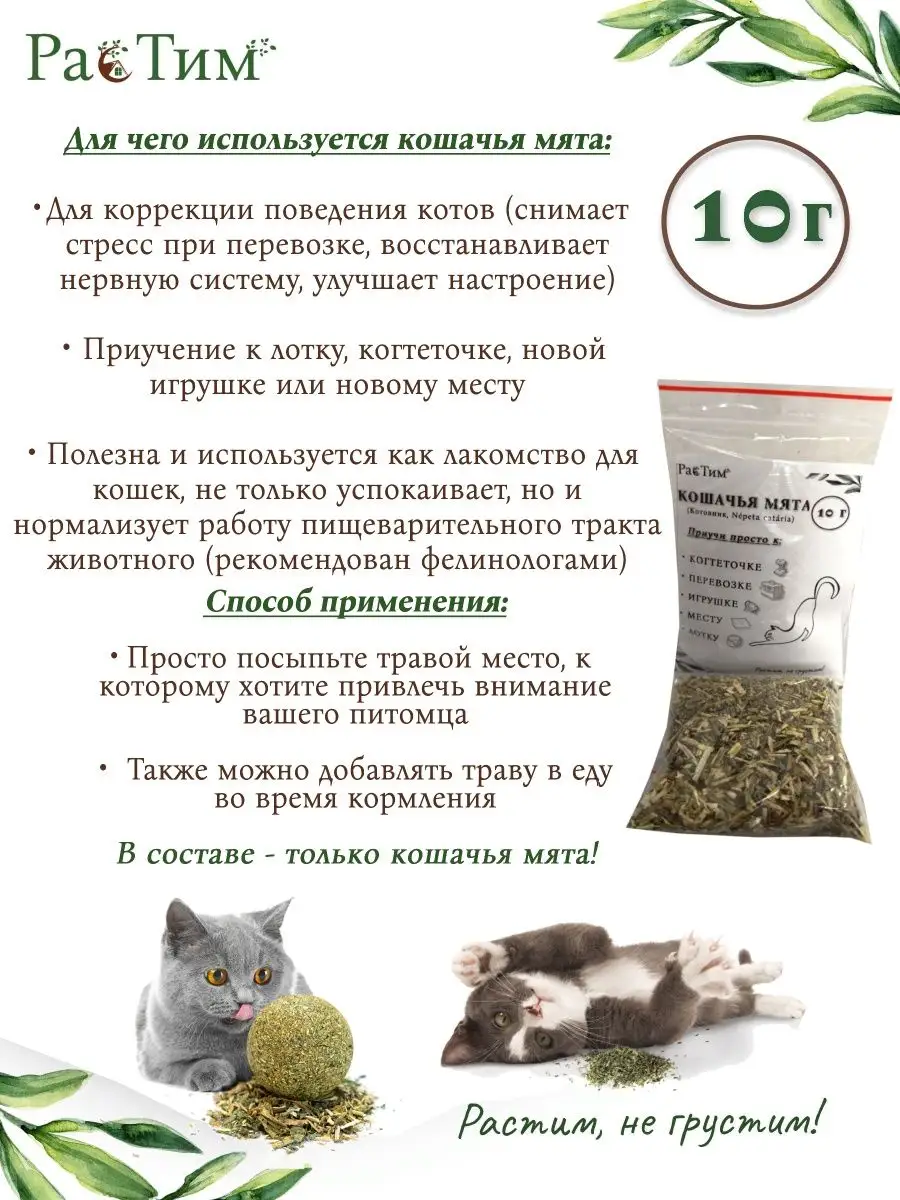 Чем отличается кошачья мята от обычной. Чем отличается кошачья мята от обычной
