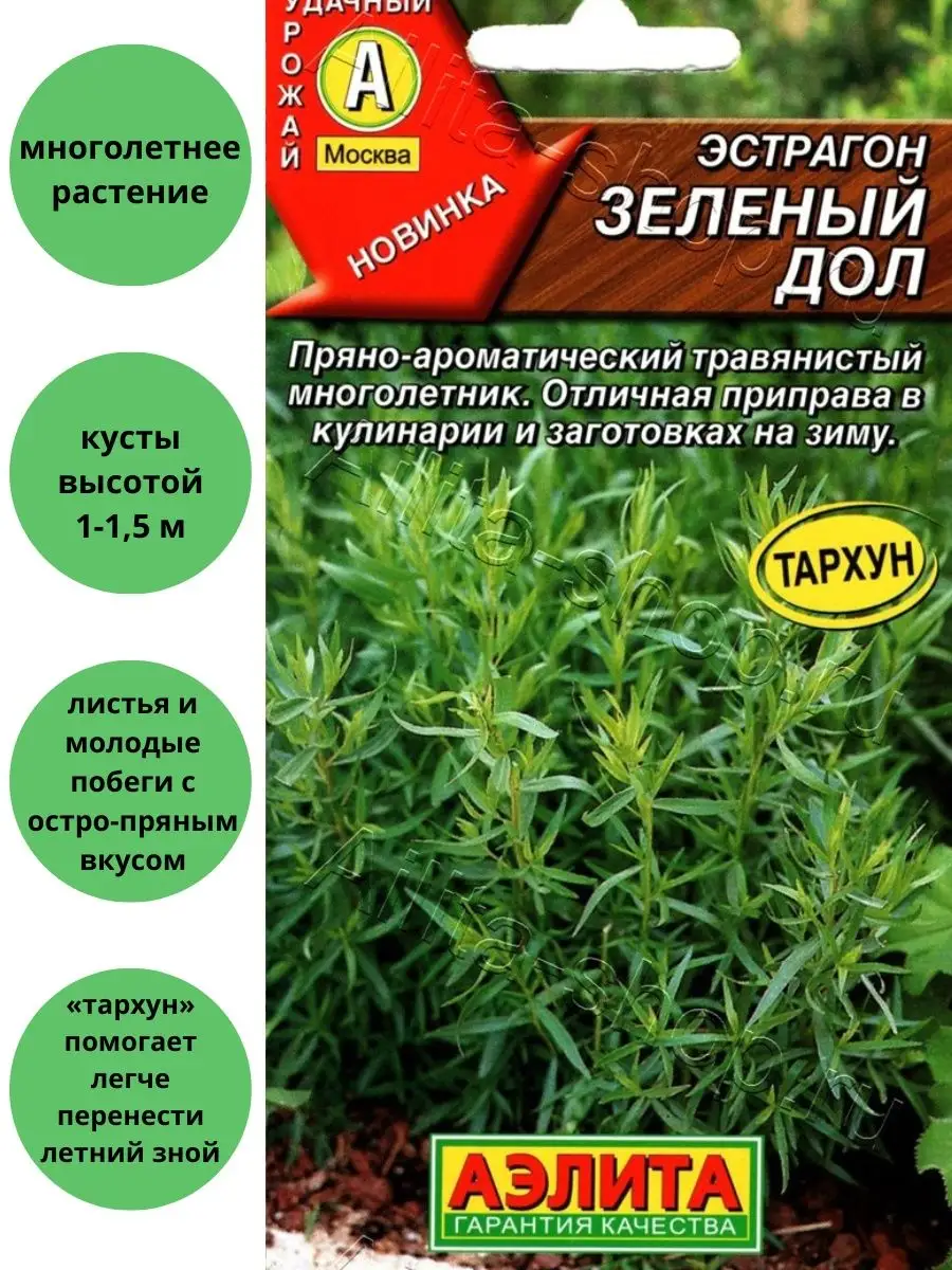 Эстрагон Зеленый Дол Агрофирма Аэлита 117979484 купить за 117 ₽ в  интернет-магазине Wildberries