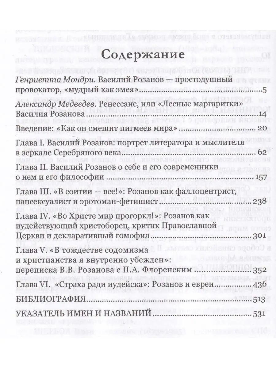 Василий Розанов как провокатор духовной смуты Серебряного ве Алетейя  118099180 купить за 1 606 ₽ в интернет-магазине Wildberries