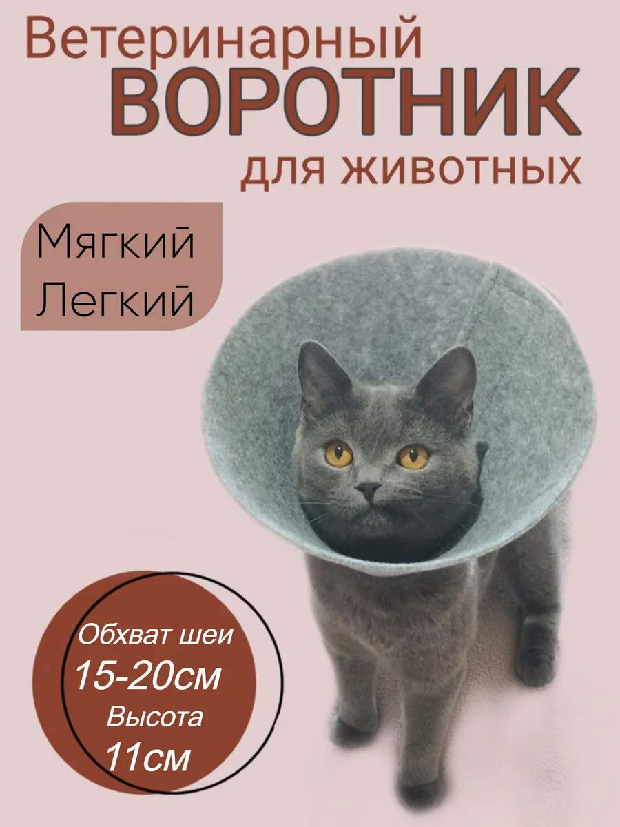 Collar Послеоперационный ветеринарный воротник, пластик