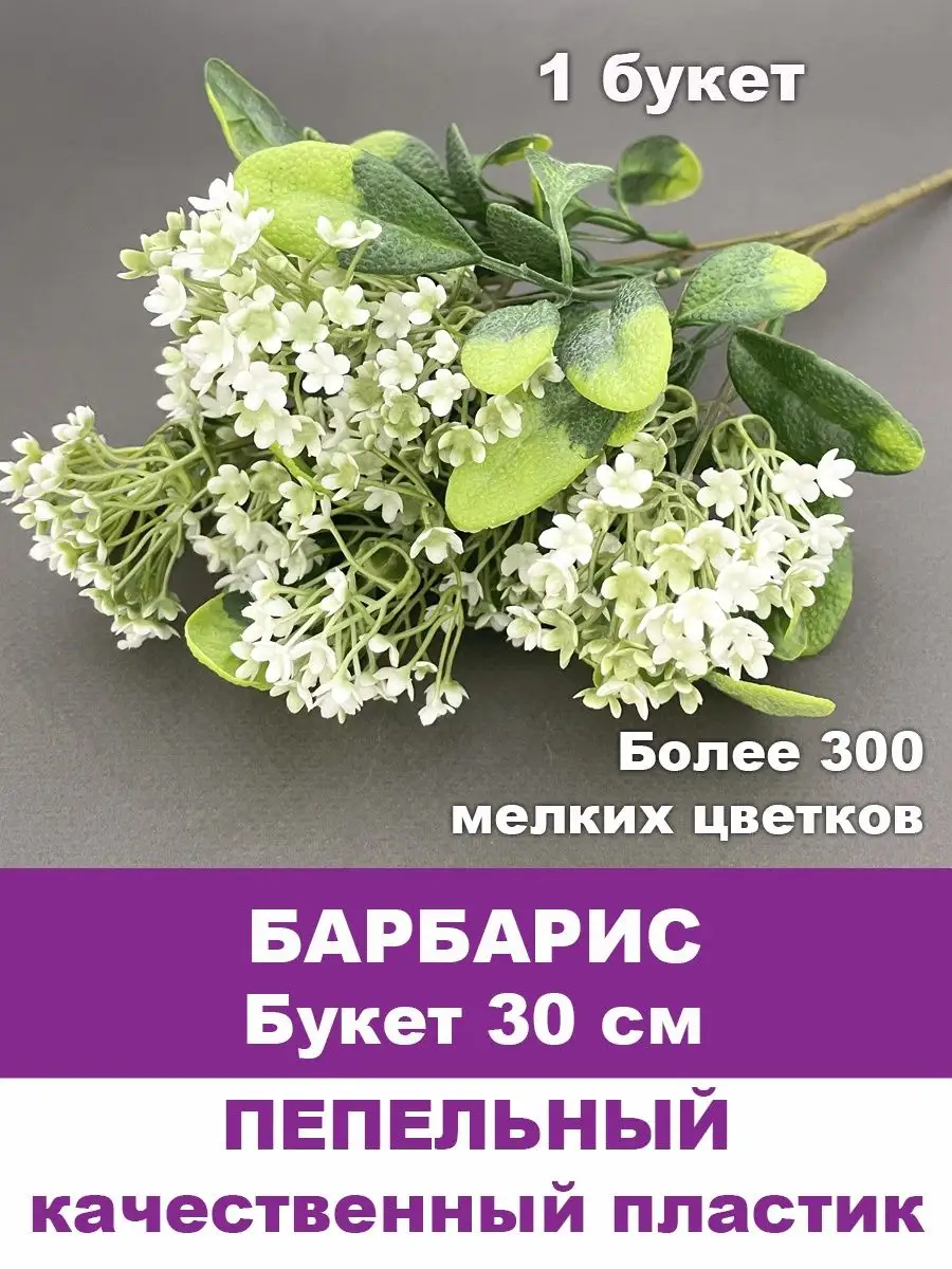 Семена Томат Черри Барбарис: описание сорта, фото - купить с доставкой или почтой России