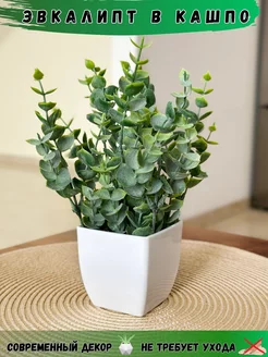 Искусственные цветы в горшке эвкалипт GreenHol 118250007 купить за 290 ₽ в интернет-магазине Wildberries