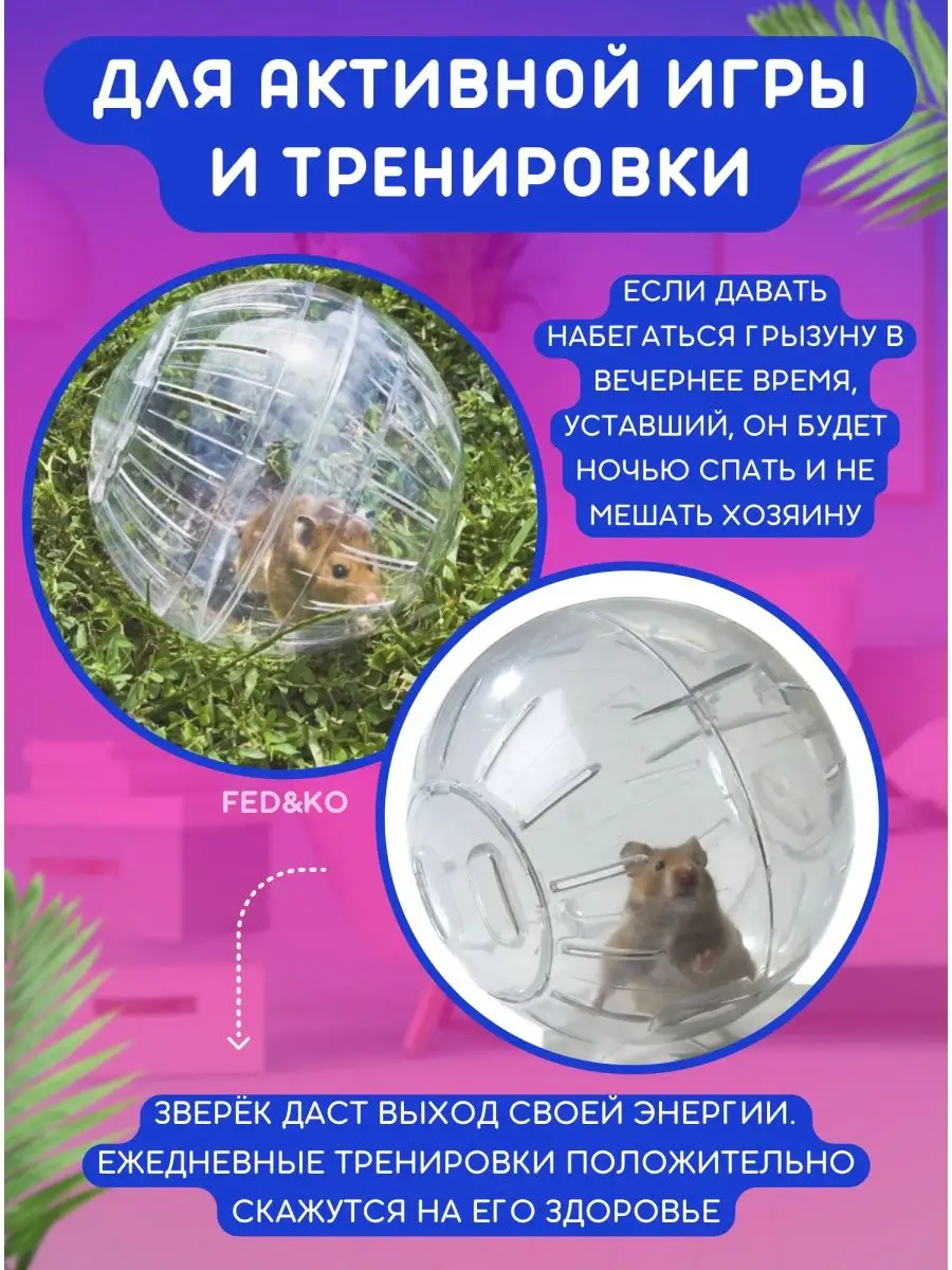 Шар для хомяка 10 см Fed&Ko 118605918 купить за 164 ₽ в интернет-магазине  Wildberries