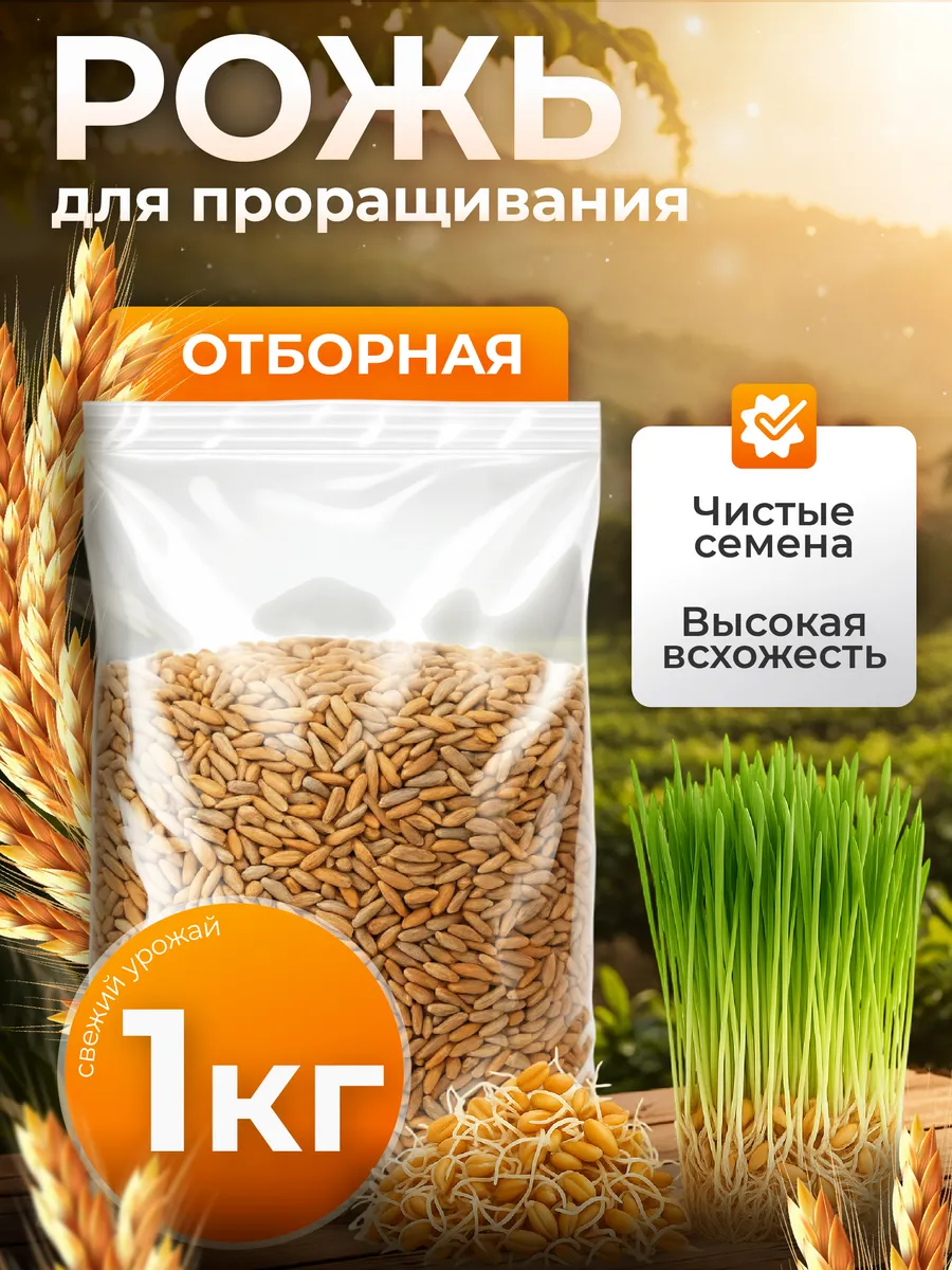 Рожь для проращивания 1кг