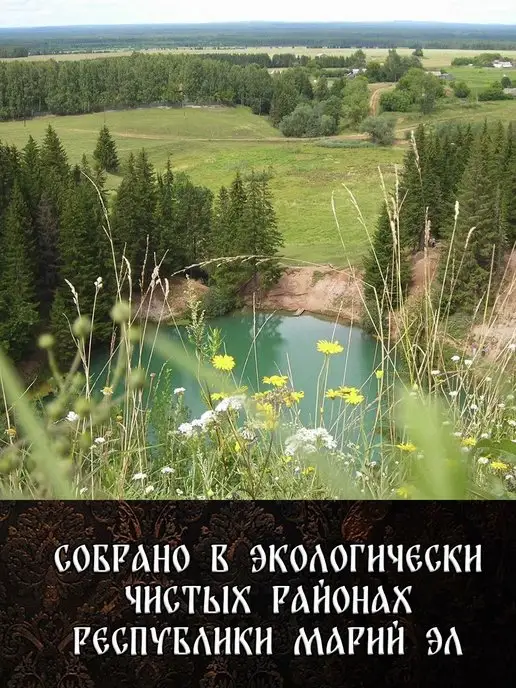 веник для бани березовый банный 2026 год, вариант, фото 2