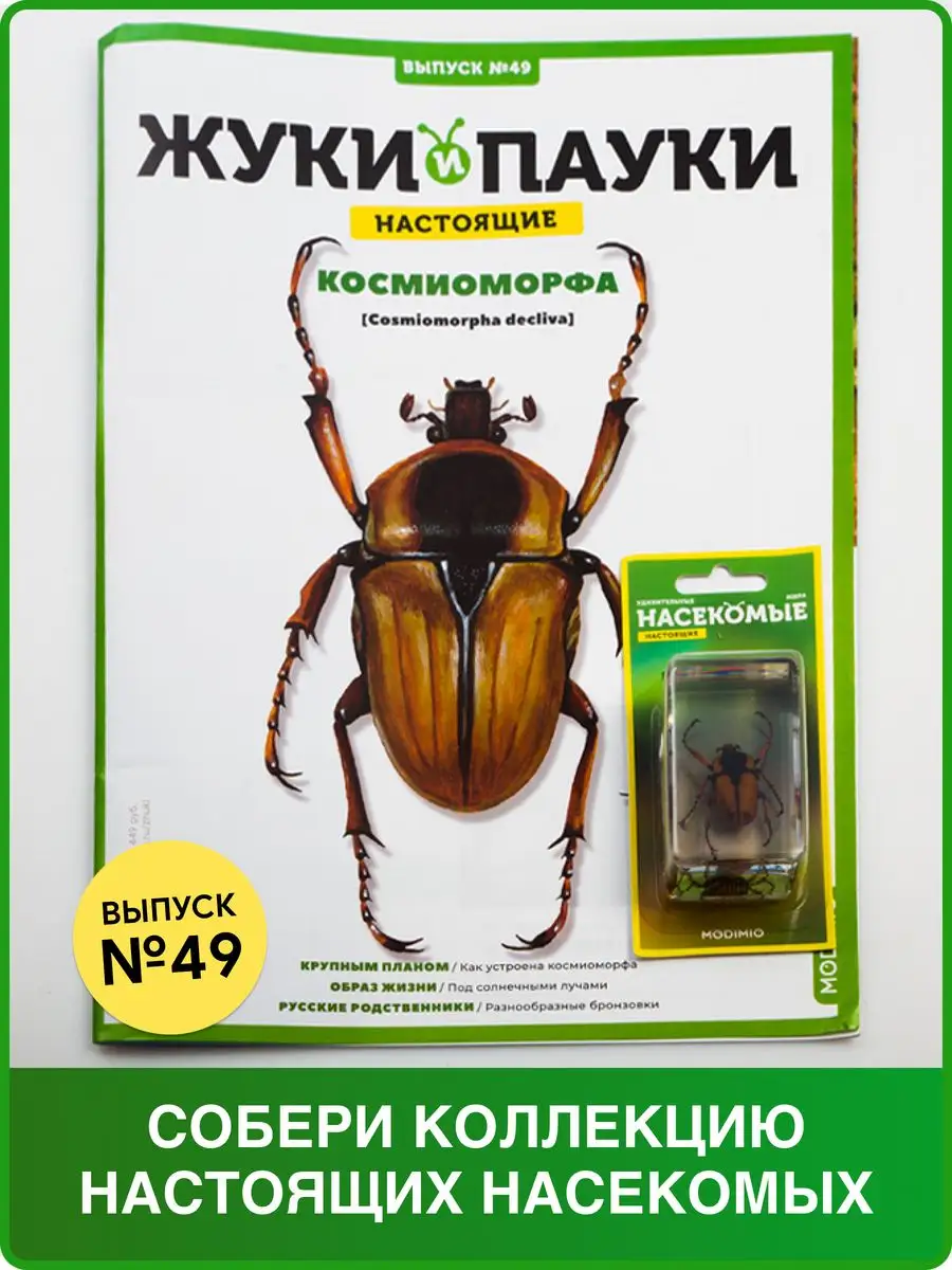 Жуки и пауки, Выпуск №49, Космиоморфа MODIMIO 118986025 купить за 471 ₽ в  интернет-магазине Wildberries