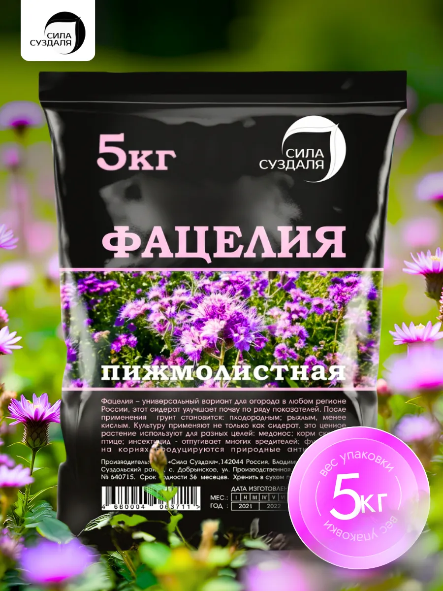 Фацелия сидерат Сила Суздаля.