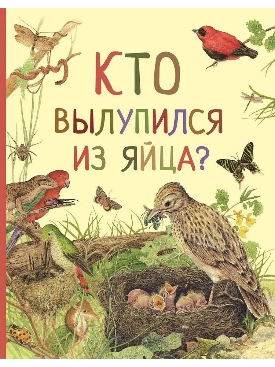 Кто вылупился из яйца? РОСМЭН 119156528 купить в интернет-магазине  Wildberries