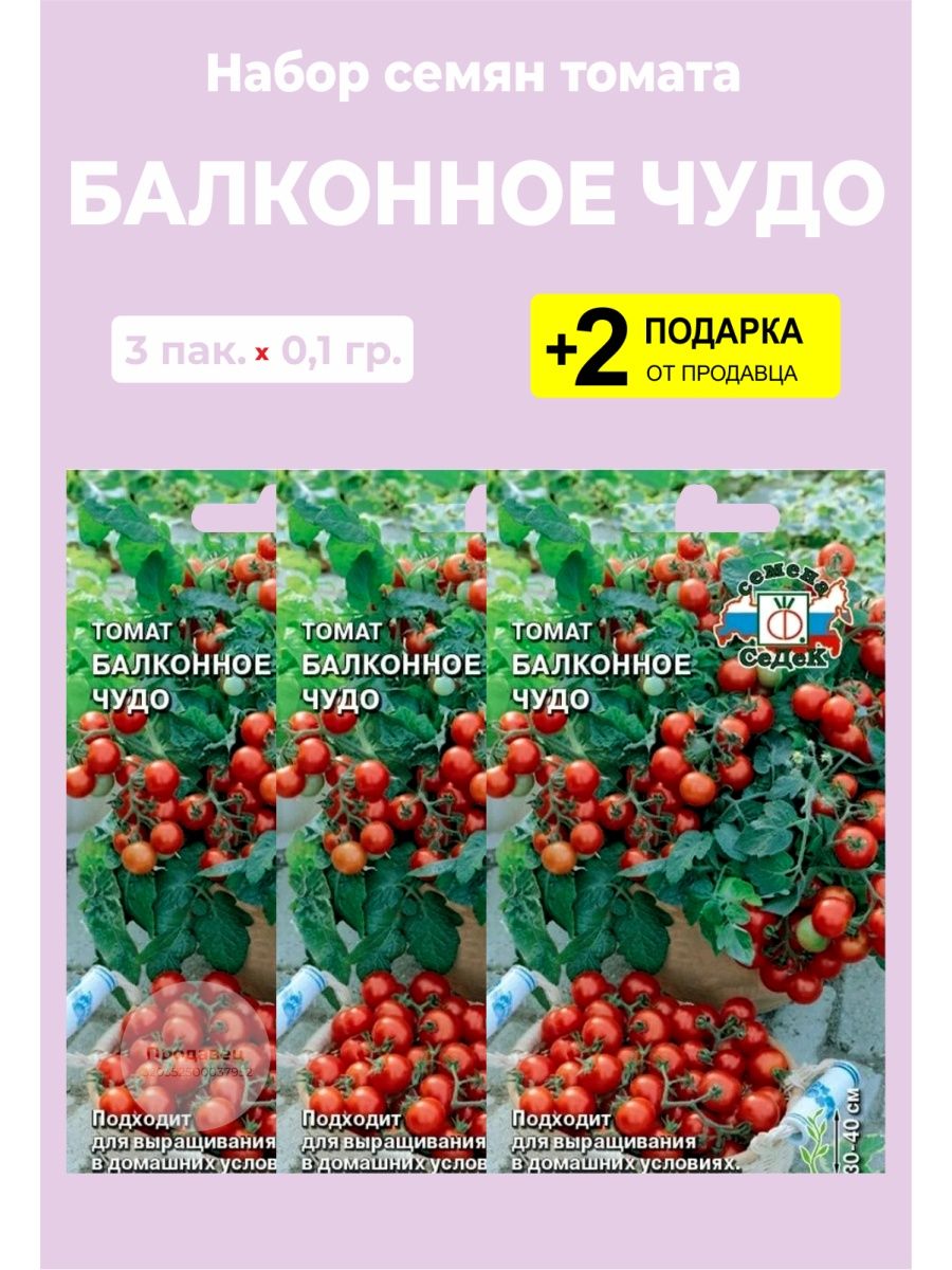 Сорт помидор балконное чудо отзывы. Семена черри балконное чудо. Томат черри балконное чудо. Семена томат балконное чудо. Балконное чудо помидоры семена.