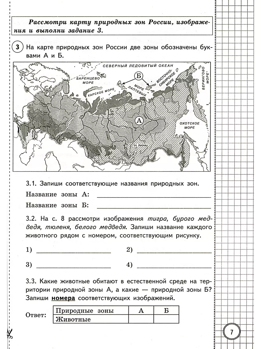 ВПР. Окружающий мир. 4 кл. 25 вариантов. Типовые задания Экзамен 119268673  купить в интернет-магазине Wildberries