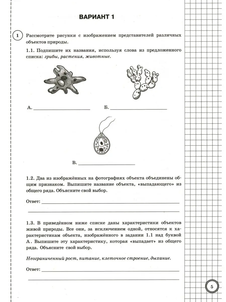 ВПР. Биология. 5 кл. 10 вариантов. Типовые задания. ФГОС Экзамен 119391765  купить за 435 ₽ в интернет-магазине Wildberries