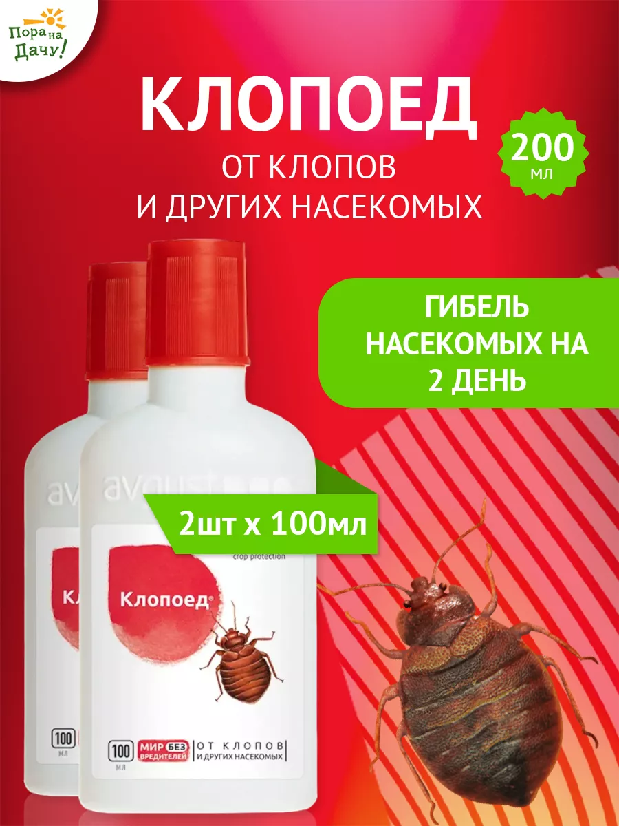 Средство от клопов...