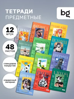 Тетради предметные, 48 листов, 12 штук BG 119482693 купить за 620 ₽ в интернет-магазине Wildberries