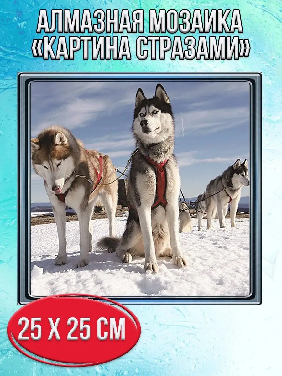 Алмазная мозаика
