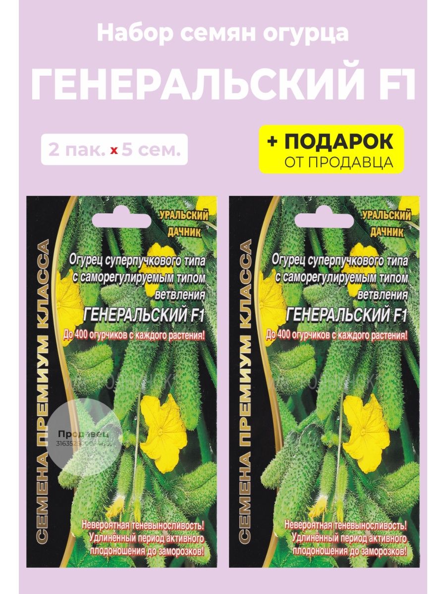 Огурец генеральский ® f1. Огурцы Генеральские отзывы.