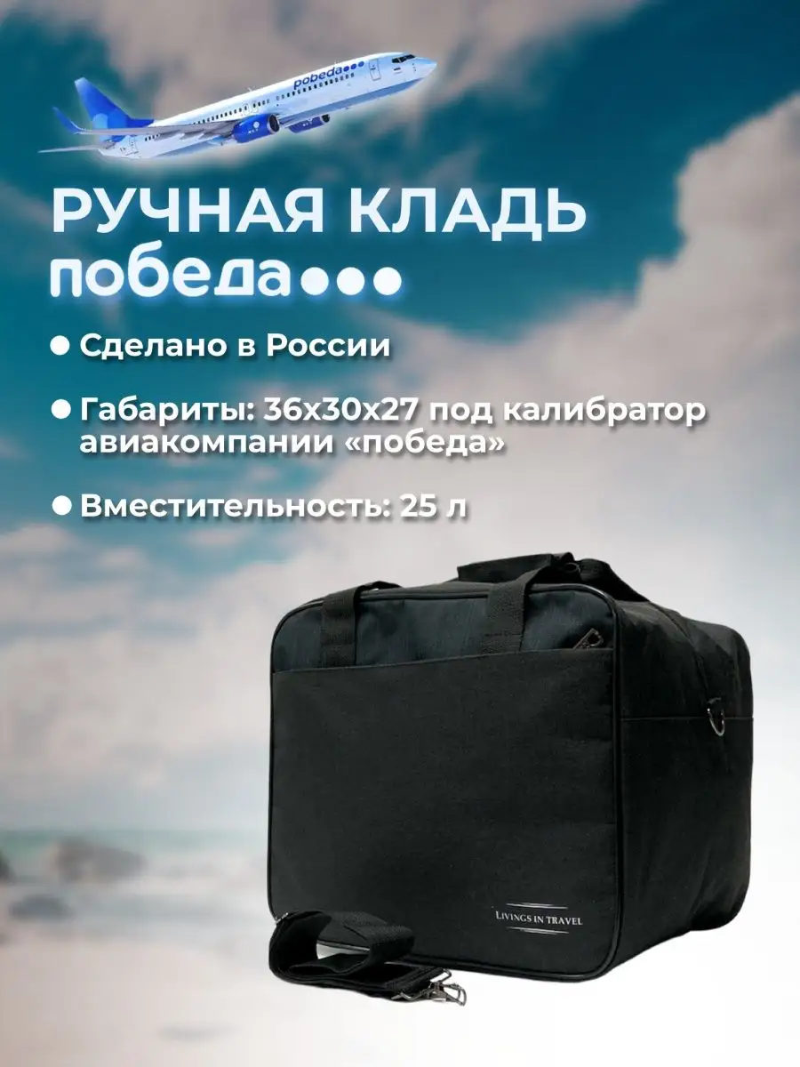 Сумка ручная кладь Победа 36 30 27 BAGFORME 119662691 купить в  интернет-магазине Wildberries