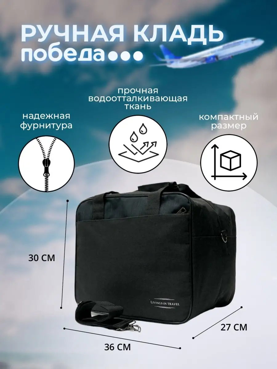 Сумка ручная кладь Победа 36 30 27 BAGFORME 119662691 купить в  интернет-магазине Wildberries