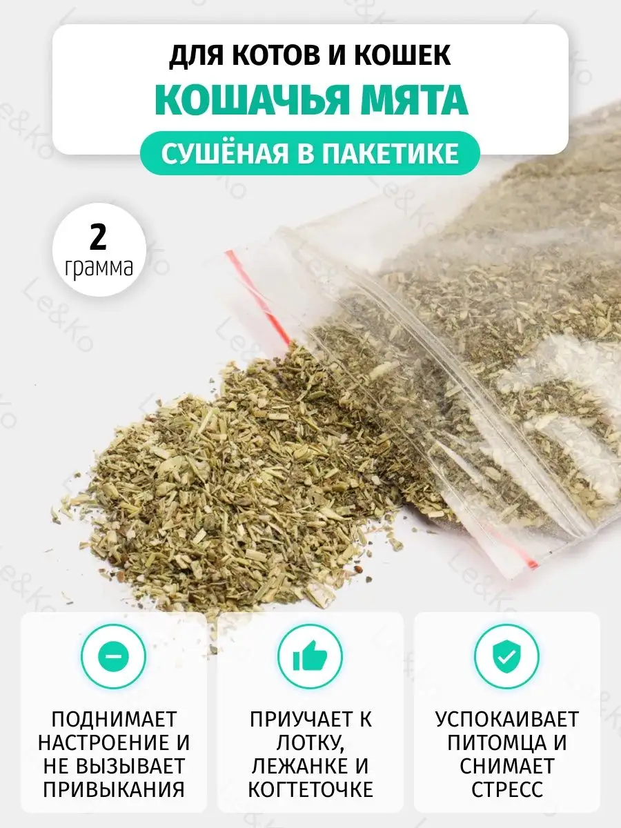 Кошачья мята сушенная...