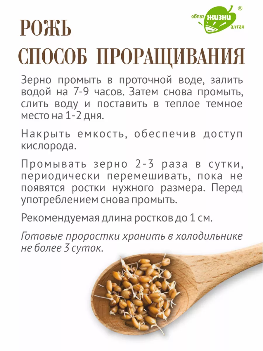 Набор зерна для проращивания: пшеница, рожь, овес, 1,5 кг Образ жизни Алтая  119857982 купить за 452 ₽ в интернет-магазине Wildberries