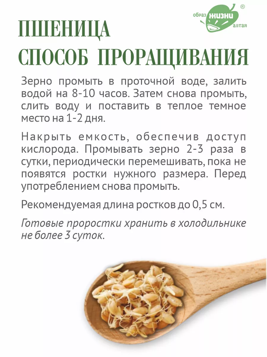 Набор зерна для проращивания: пшеница, рожь, овес, 1,5 кг Образ жизни Алтая  119857982 купить за 447 ₽ в интернет-магазине Wildberries