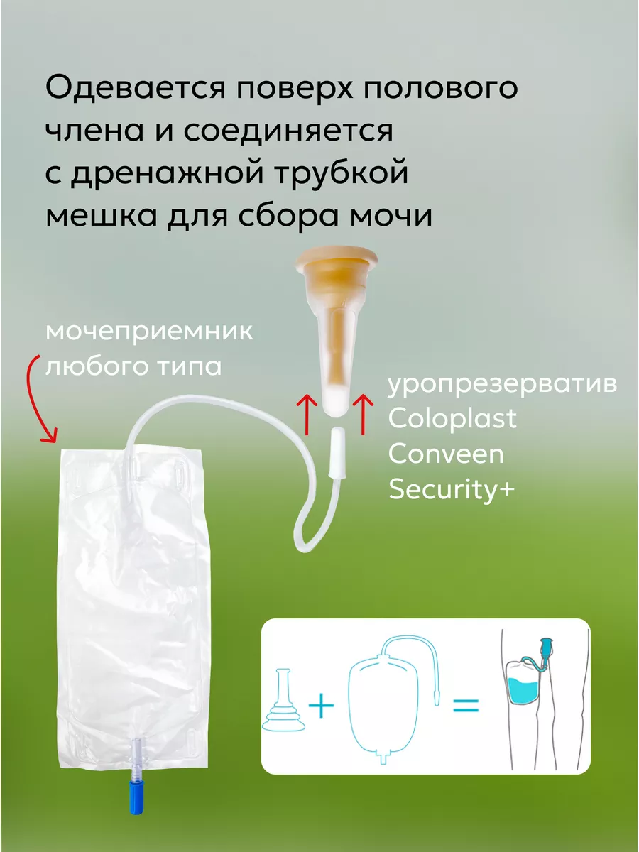 Уропрезерватив самоклеящийся латексный 30шт 052120 Coloplast 119887707  купить за 3 874 ₽ в интернет-магазине Wildberries