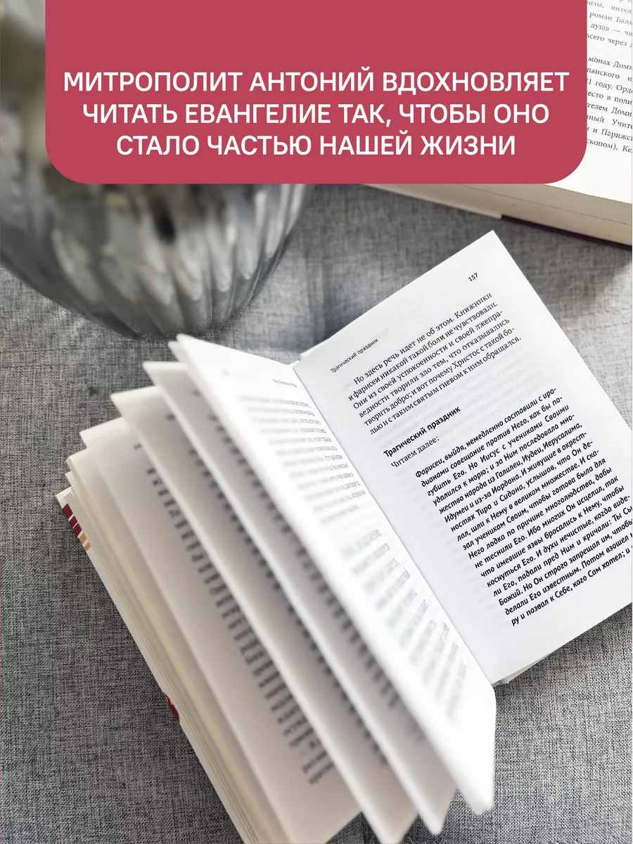 Беседы на Евангелие от Марка Митрополит Антоний Сурожский Никея 119889535  купить за 435 ₽ в интернет-магазине Wildberries