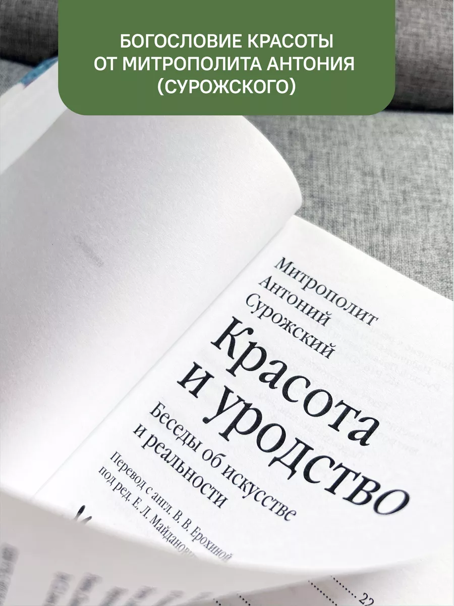 Красота и уродство Беседы об искусстве и реальности Никея 119890003 купить  за 466 ₽ в интернет-магазине Wildberries