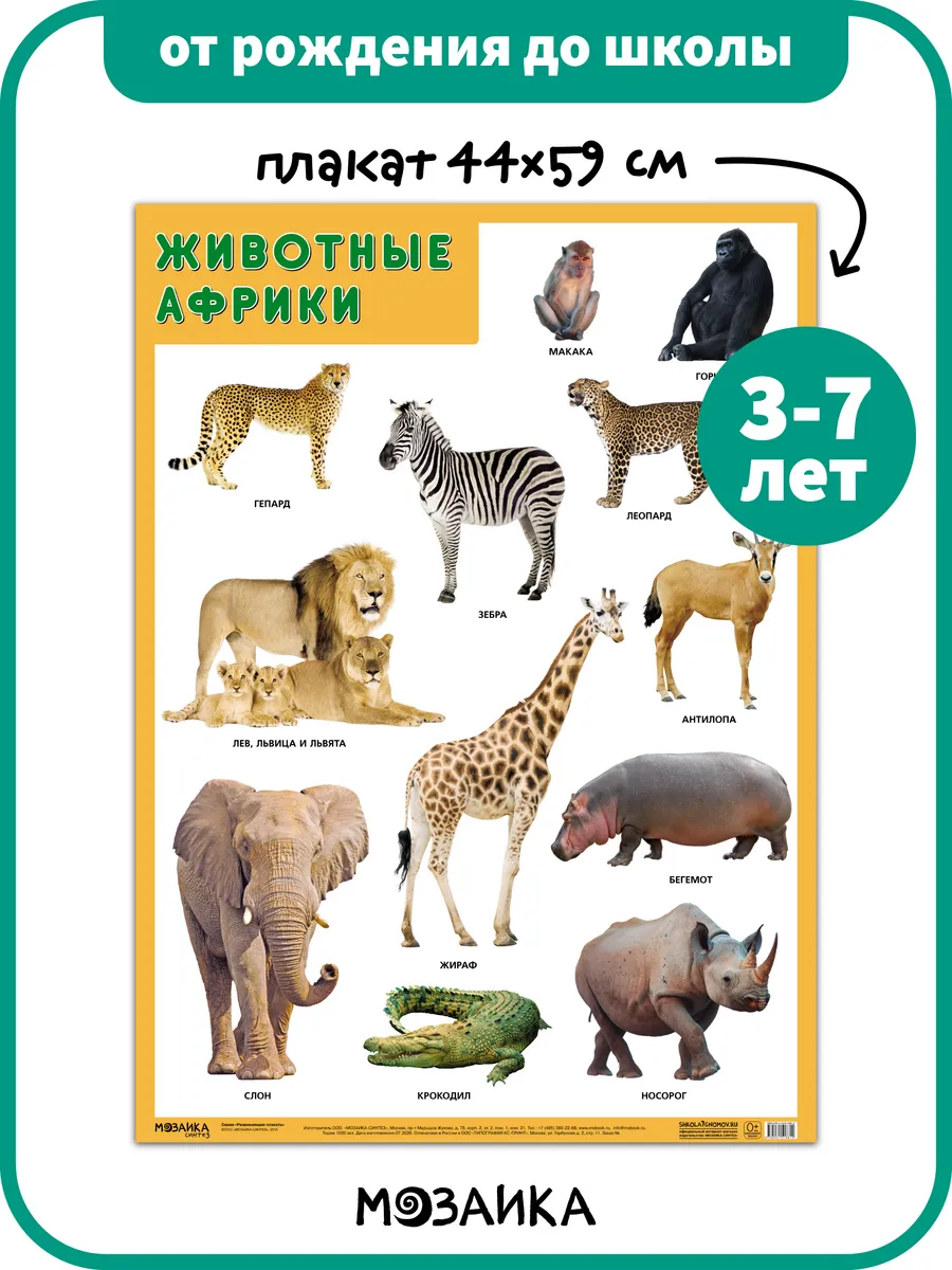 Развивающий плакат на стену для детей, животные Африки 3+