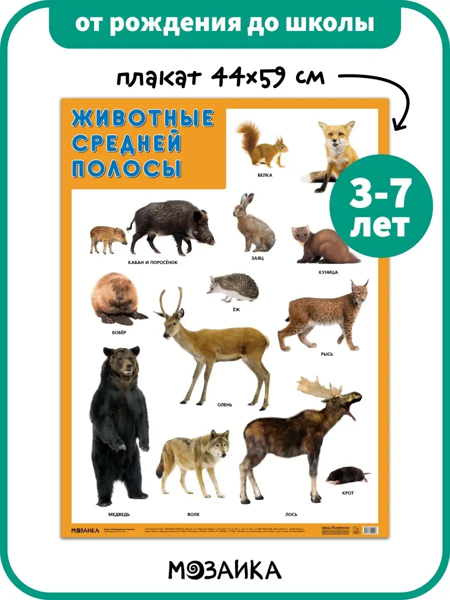 Развивающий плакат на стену для детей, животные 3+