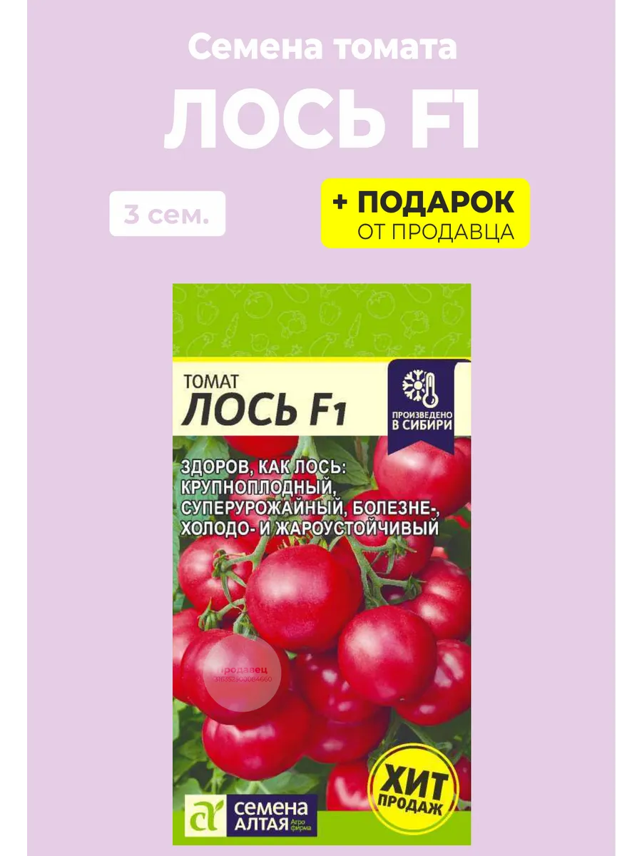 Томаты лось ф1. Семена томат Лось f1. Семена Алтая Лось f1. Томат Лось f1 алт. Лось в томате.