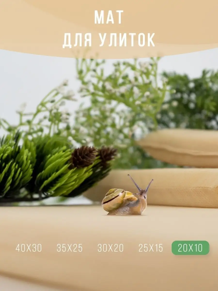 Коврик для улиток ахатин