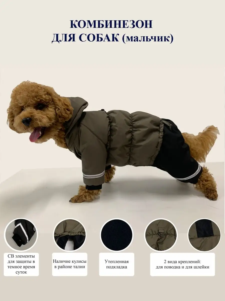 Одежда для собак мальчиков: продажа одежды и аксессуаров для собак мужского пола