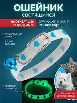 Ошейник светящийся для кошек и собак мелких пород Pet SPOT 120236567 купить за 179 ₽ в интернет-магазине Wildberries