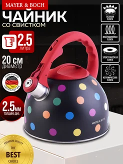 Чайник со свистком для плиты нержавеющая сталь 2,5 л