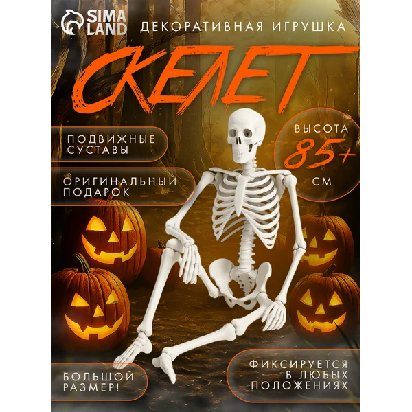 Анатомическая модель Скелет игрушка