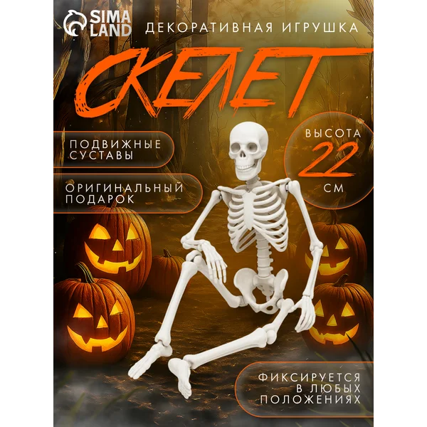 Анатомическая модель Скелет игрушка