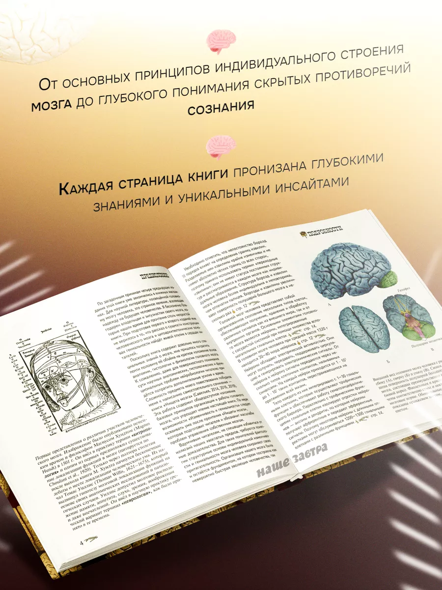 Изменчивость и гениальность. 6-е изд. Савельев С.В. Издательство Веди  120271525 купить за 2 084 ₽ в интернет-магазине Wildberries