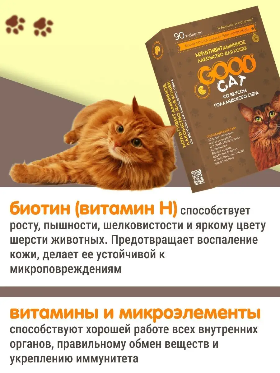 Витамины для кошек для аппетита. Витамины для кота.