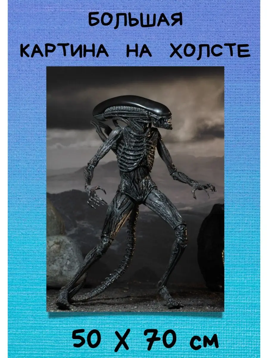 Porno tomosha qilish: Er katta eshakli xotinini sikadi HD