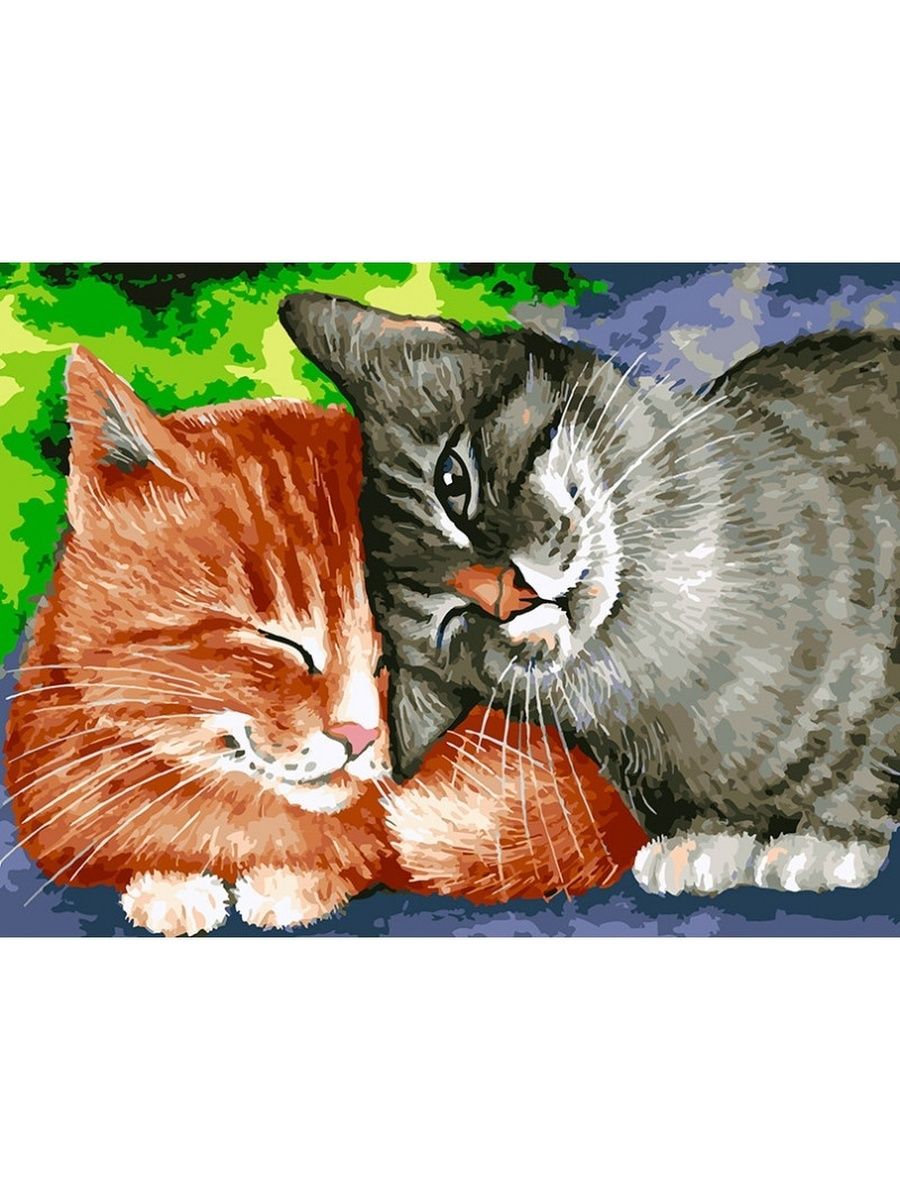Белоснежка кот. Раскраска по номерам кот. Картины по номерам кошки.