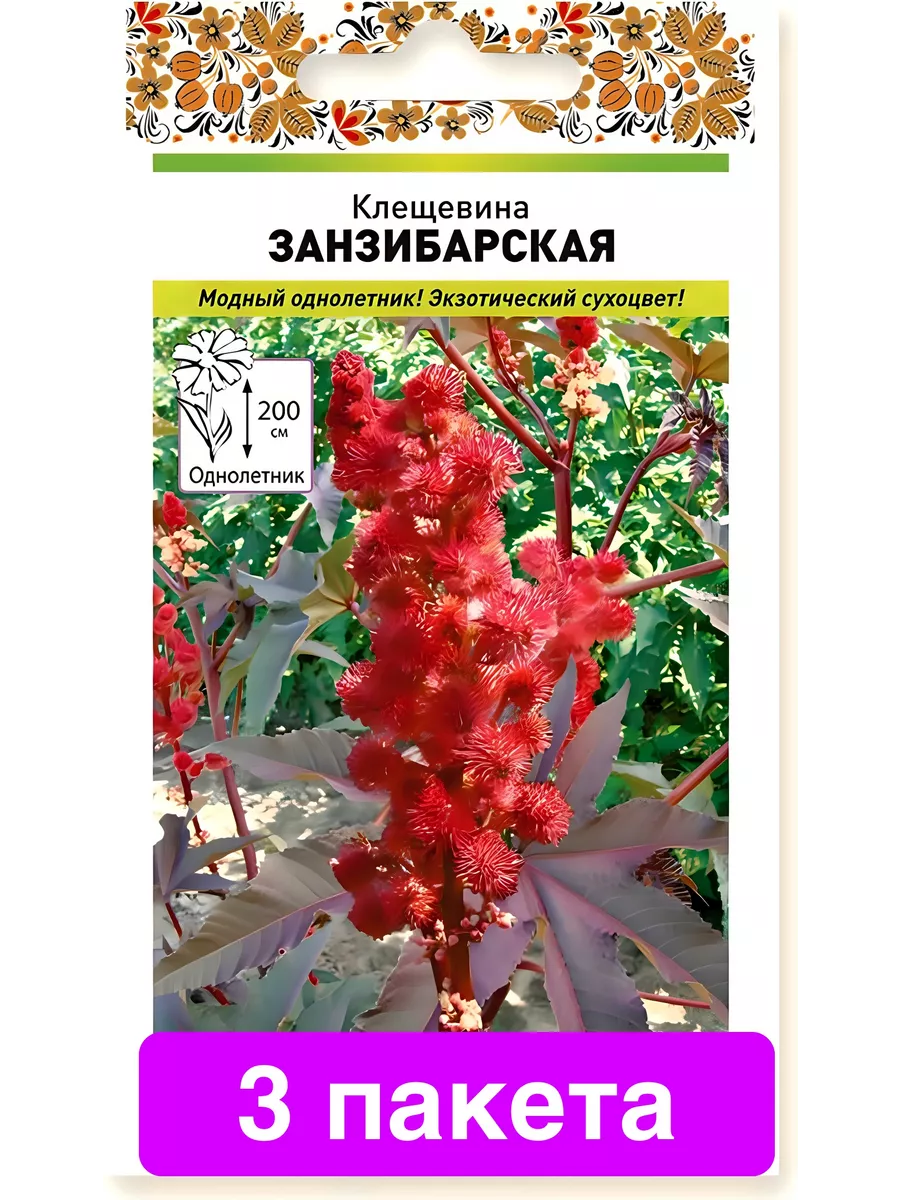 Клещевина Занзибарская 5шт семян