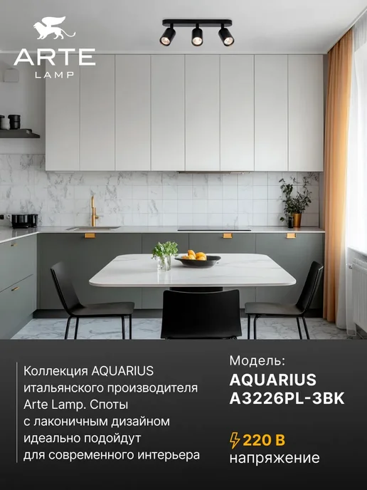 Arte Lamp Спот AQUARIUS A3226PL-3BK, вариант, фото 2