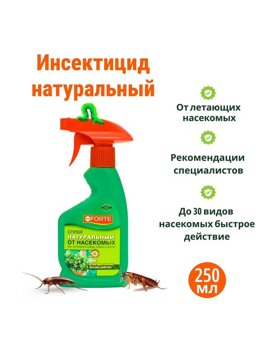 Огурец изящный описание. Огурцы изящный отзывы описание. Огурец изящный фото. Огурец изящный семена. Огурец изящный семена.