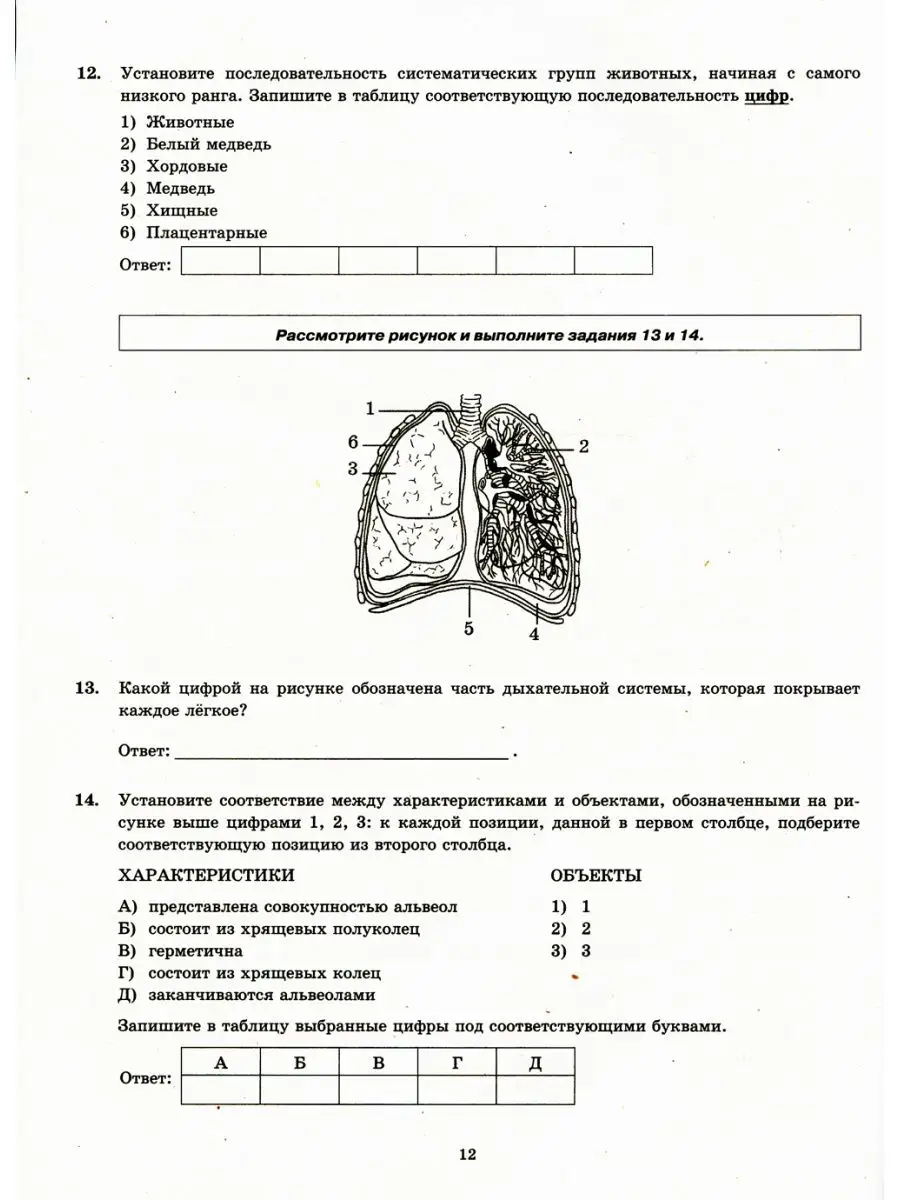 ЕГЭ 2023. Биология. 14 Вариантов... Экзамен 121037472 купить за 375 ₽ в  интернет-магазине Wildberries