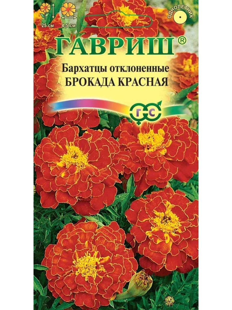 Бархатцы Брокада красные. Бархатцы красная Брокада семена Гавриш. Бархатцы пр. сюита (Тагетес) 0,3 г уд. С..