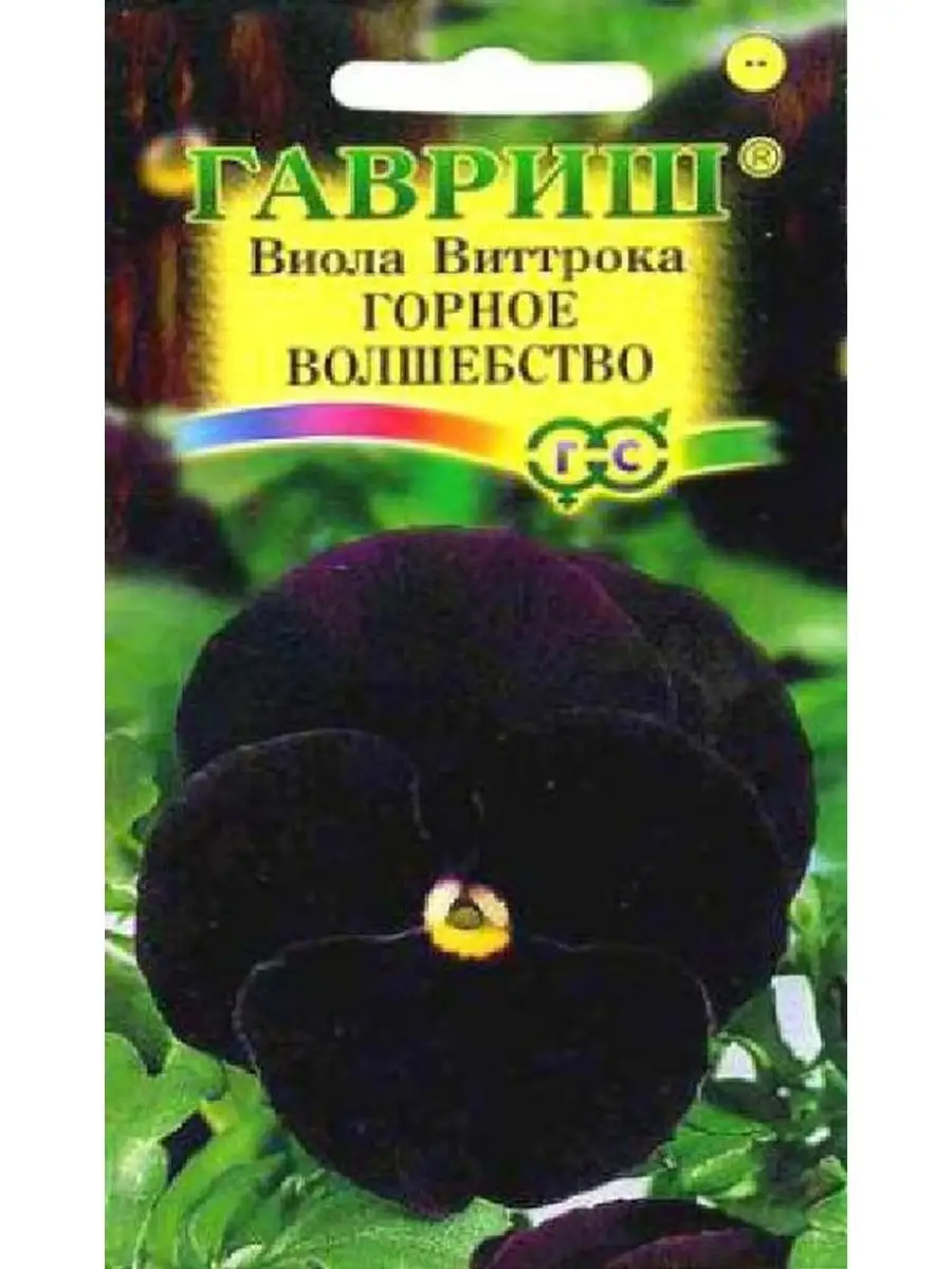Семена Виолы Купить В Интернет Магазине