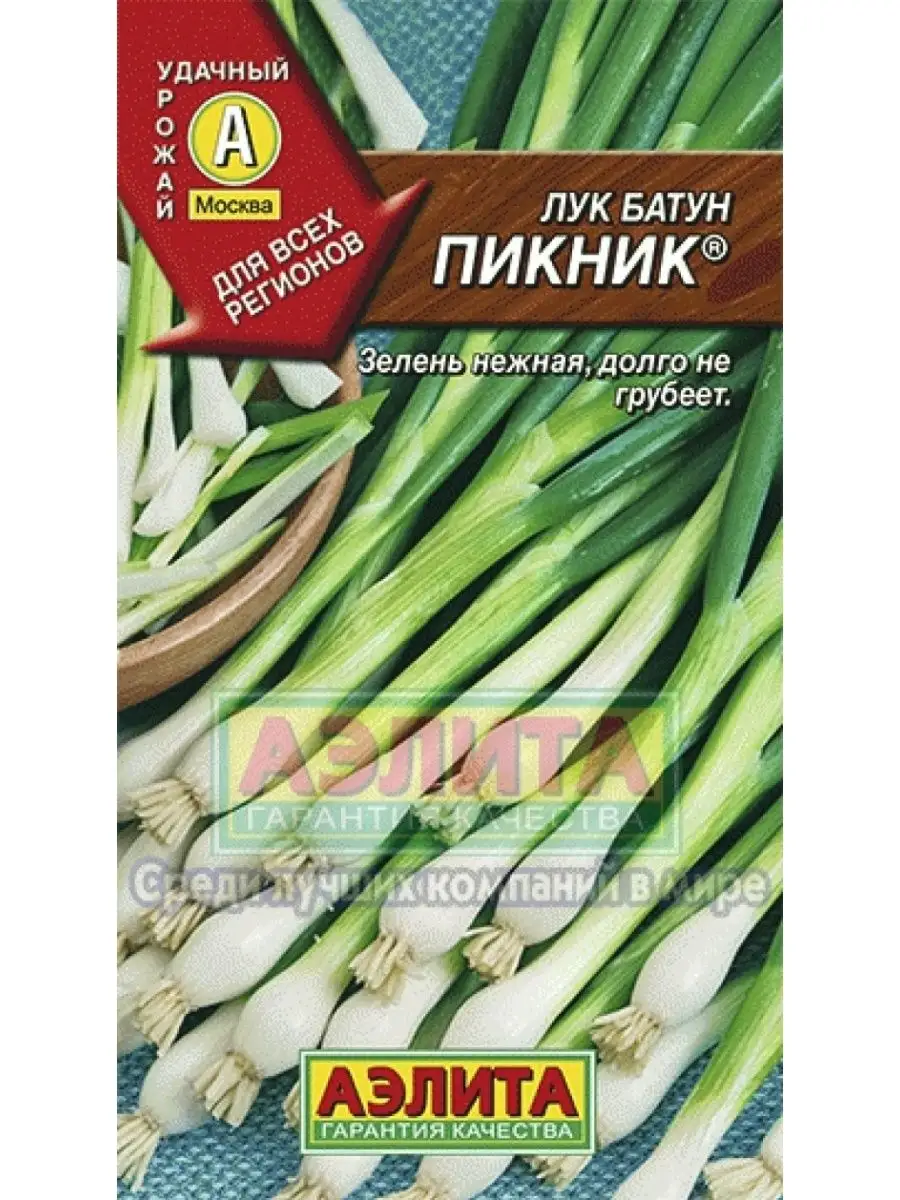 Лук батун Пикник 1г Аэлита 121100137 купить за 126 ₽ в интернет-магазине  Wildberries