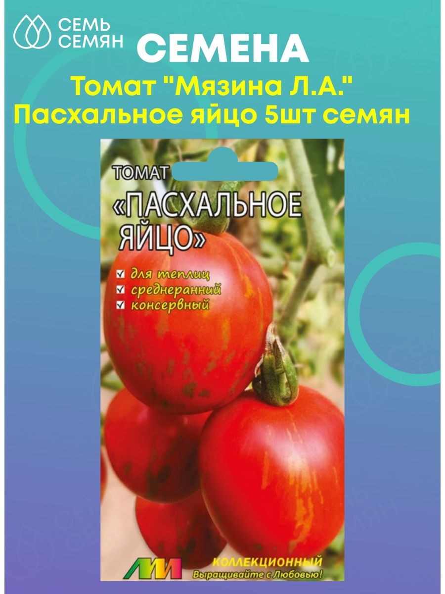 Томат пасхальное яйцо. Томат пасхальное яйцо отзывы. Пасха и томат поздравление. Томат пасхальное яйцо описание сорта фото отзывы.